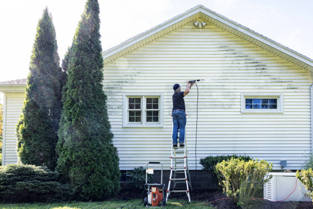Best Gutter Cleaning and Brightening in Aspinwall, PA